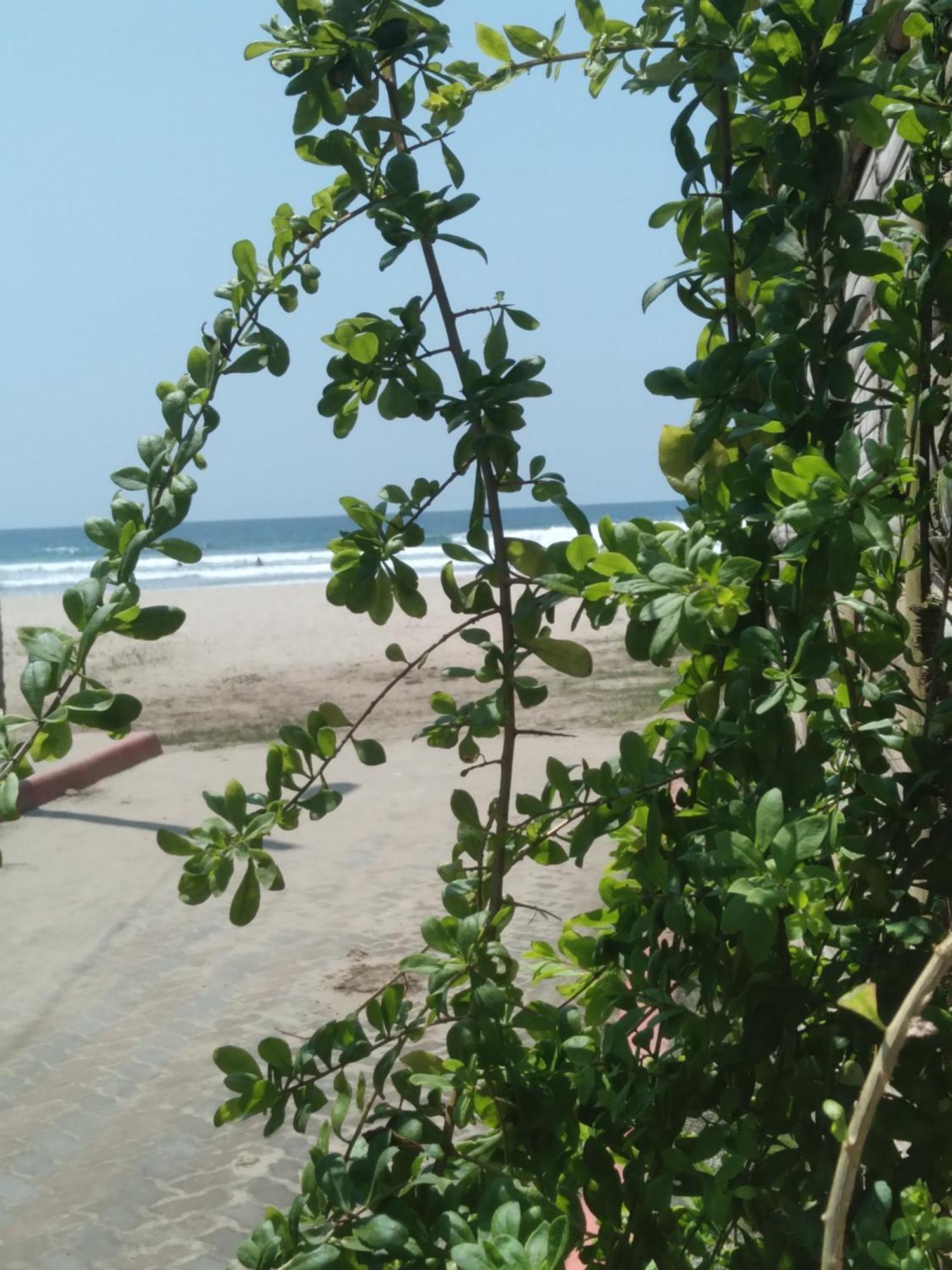 Hostal Casa Taisha 몬따니따 외부 사진