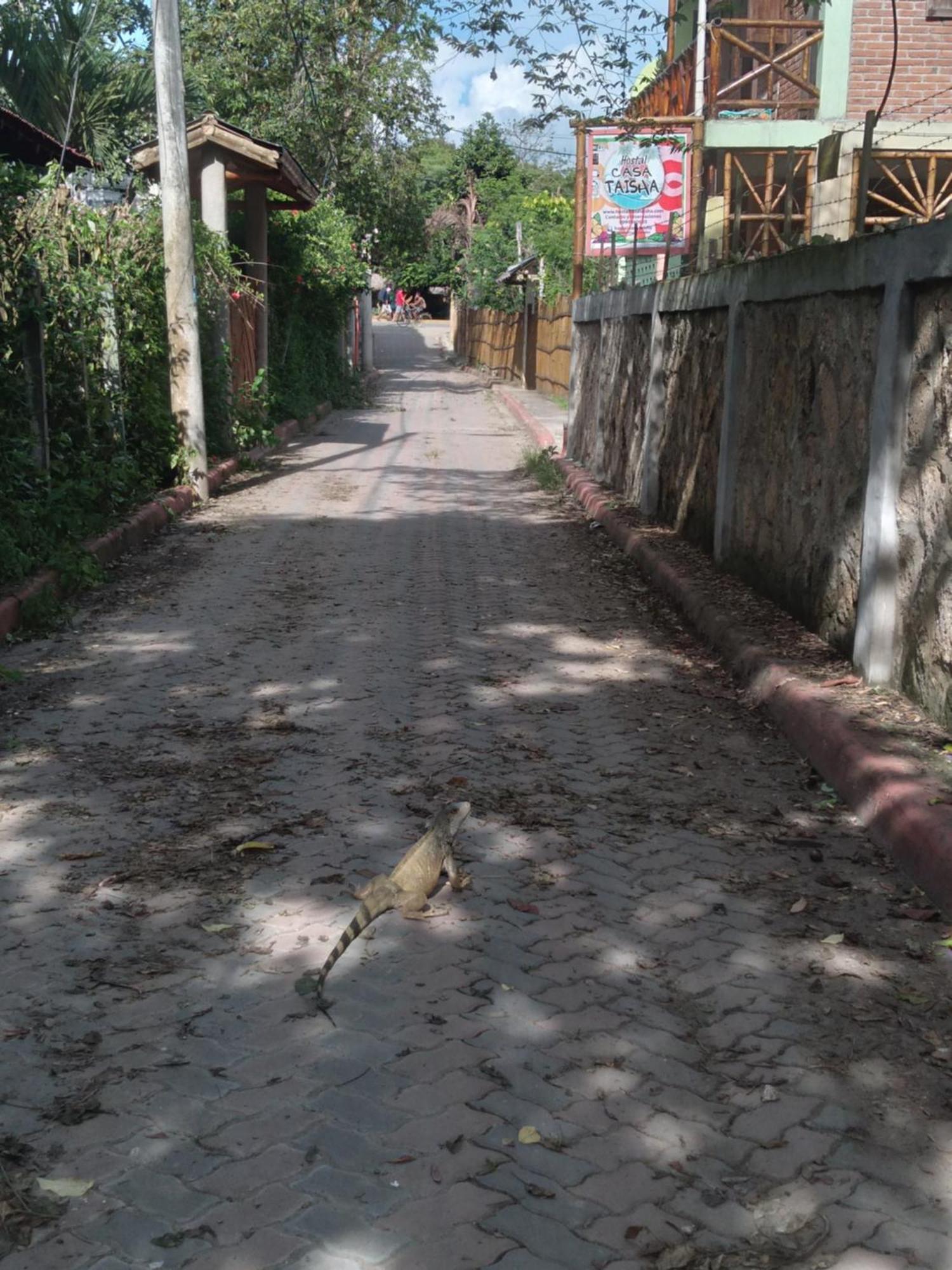 Hostal Casa Taisha 몬따니따 외부 사진